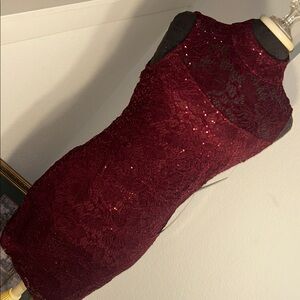 Blu Sage Burgundy Sequin Lace Mini Dress
